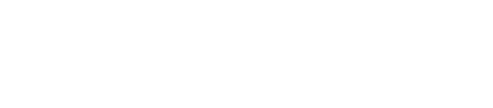 NordVPN logo